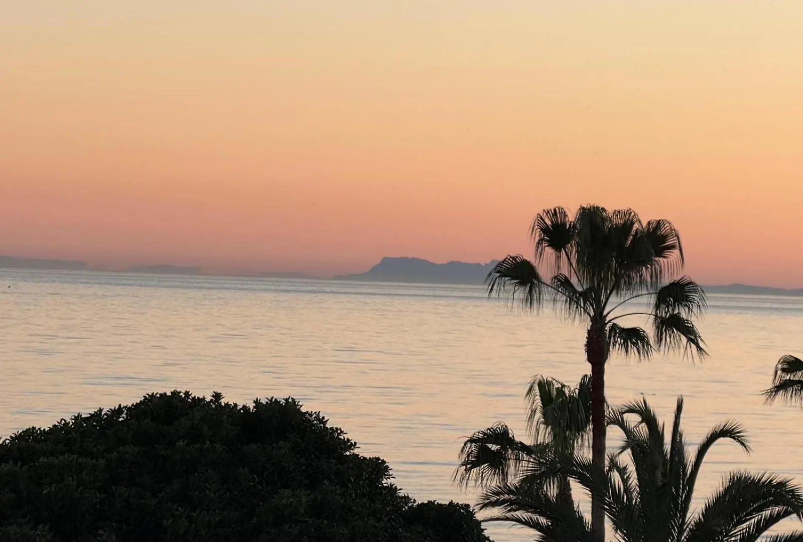 Ocean Living Puerto Banus - Eaw Homes location